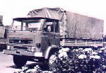 Star 29